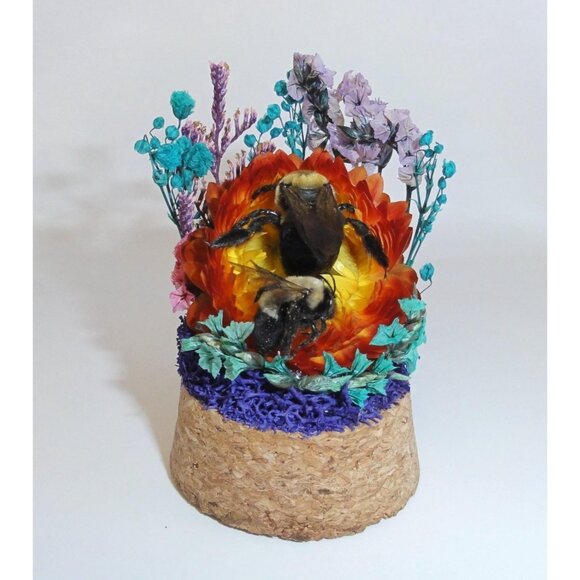 Carpenter Bee on Sunset Flower Oddity jar curiosity Dome insect taxidermy goth - Picture 2 of 16